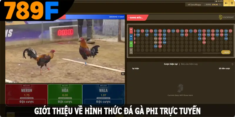 Giới thiệu về hình thức đá gà Phi trực tuyến Giới thiệu về hình thức đá gà Phi trực tuyến