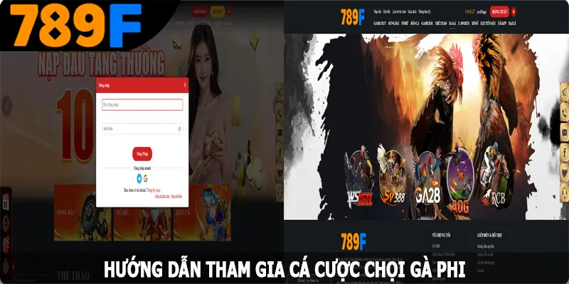 Hướng dẫn tham gia cá cược chọi gà Phi tại hệ thống 789F Hướng dẫn tham gia cá cược chọi gà Phi tại hệ thống 789F