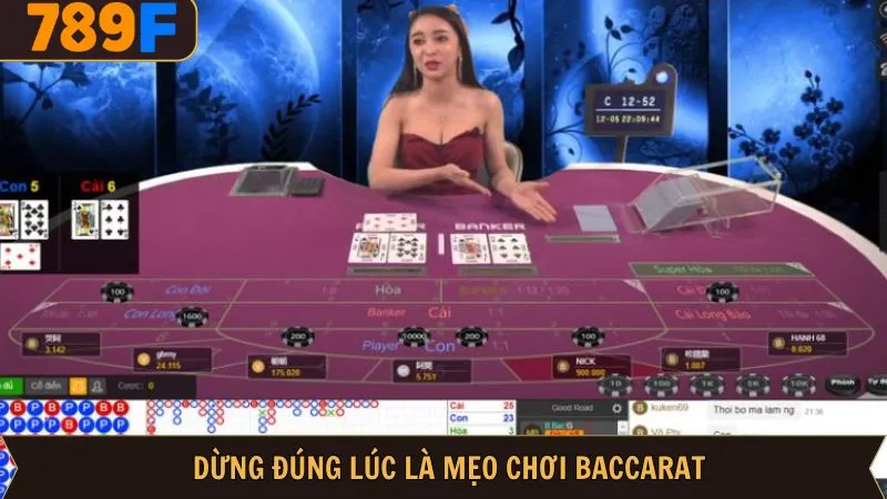 Biết điểm dừng chính là chiến thuật hay nhất Biết điểm dừng chính là chiến thuật hay nhất