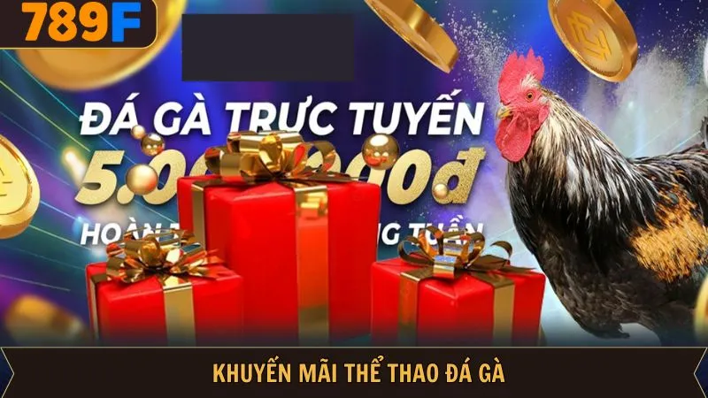 Khuyến Mãi Thể Thao Đá Gà - Ưu Đãi Khủng, Quà Tặng Hấp Dẫn 8 Khuyến Mãi Thể Thao Đá Gà - Ưu Đãi Khủng, Quà Tặng Hấp Dẫn