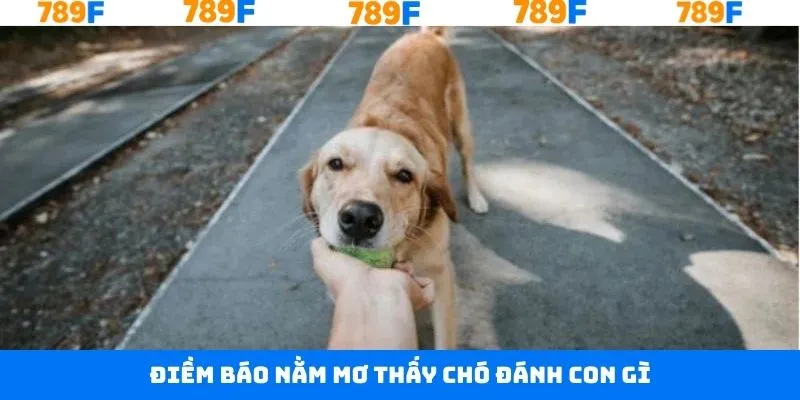 Thủ Thuật Chơi Bài 3 Cây - Bí Quyết Giúp Anh Em Thắng Lớn 12 Giải đáp những giấc mơ thấy chó khác siêu hấp dẫn
