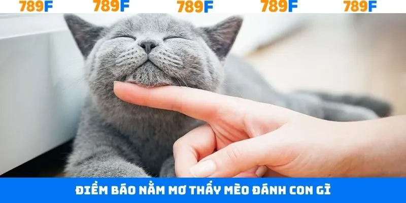 Thủ Thuật Chơi Bài 3 Cây - Bí Quyết Giúp Anh Em Thắng Lớn 11 Một vài điềm báo quan trọng về nằm mơ thấy mèo đánh con gì