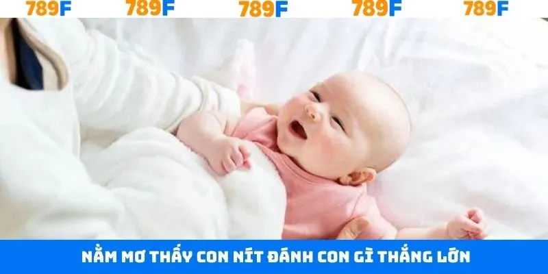 Nằm Mơ Thấy Quan Tài Đánh Con Gì Trúng Đậm Tại 789F 12 Trả lời câu hỏi nằm mơ thấy con nít đánh con gì