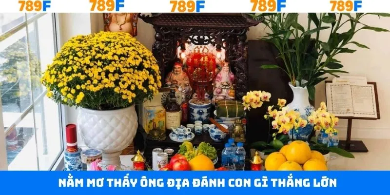 Nằm mơ thấy ông địa đánh con gì thắng đậm Nằm mơ thấy ông địa đánh con gì thắng đậm
