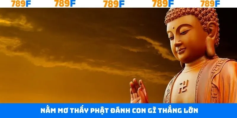 Thủ Thuật Chơi Bài 3 Cây - Bí Quyết Giúp Anh Em Thắng Lớn 12 Các con số may mắn khác khi ngủ mộng thấy Phật