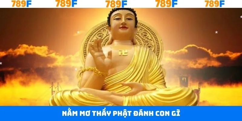 Nằm Mơ Thấy Phật Đánh Con Gì? Cơ Hội Đổi Đời Tại 789F 10 Nằm Mơ Thấy Phật Đánh Con Gì? Cơ Hội Đổi Đời Tại 789F